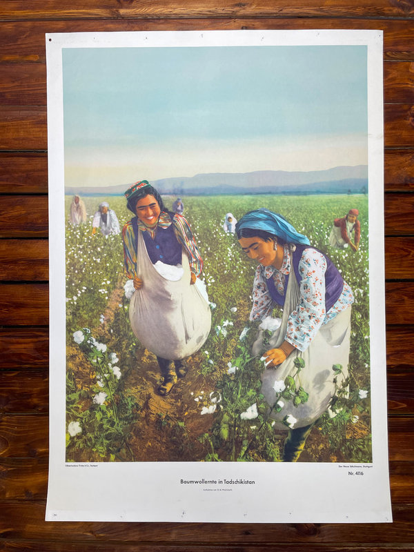 Baumwollfelder in Tadschikistan Schulkarte